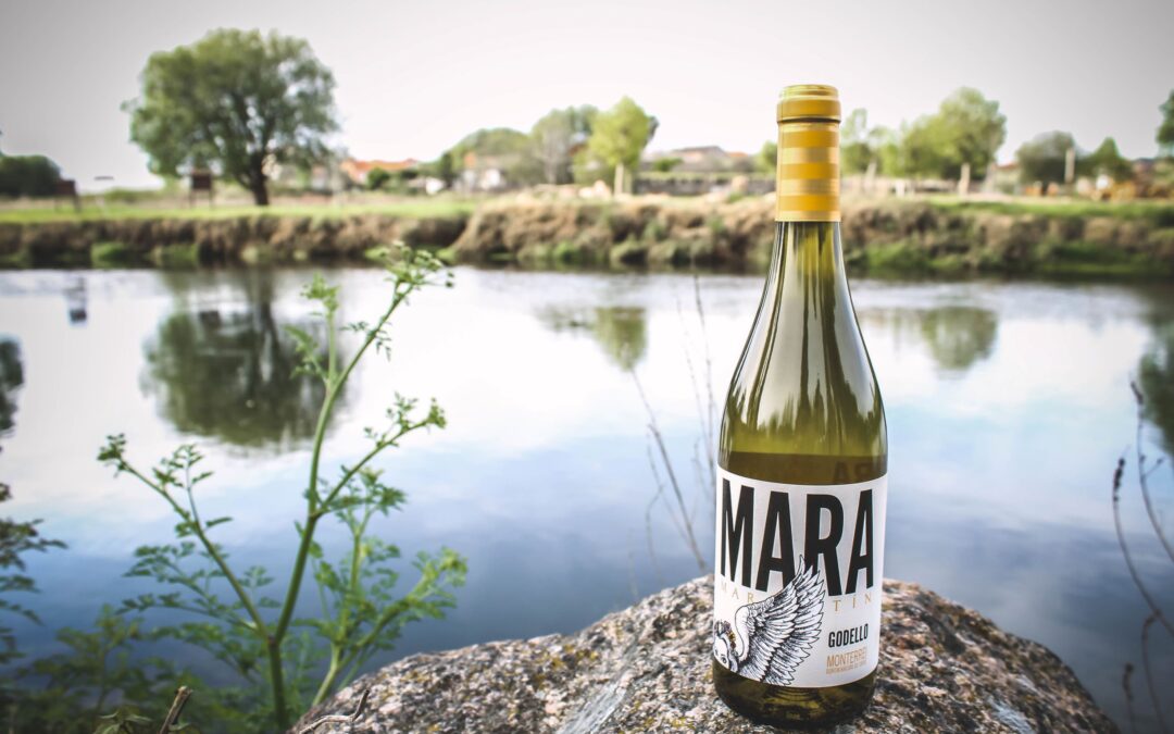 Los vinos de Soy50plus: Mara Martín, un Godello para empezar bien