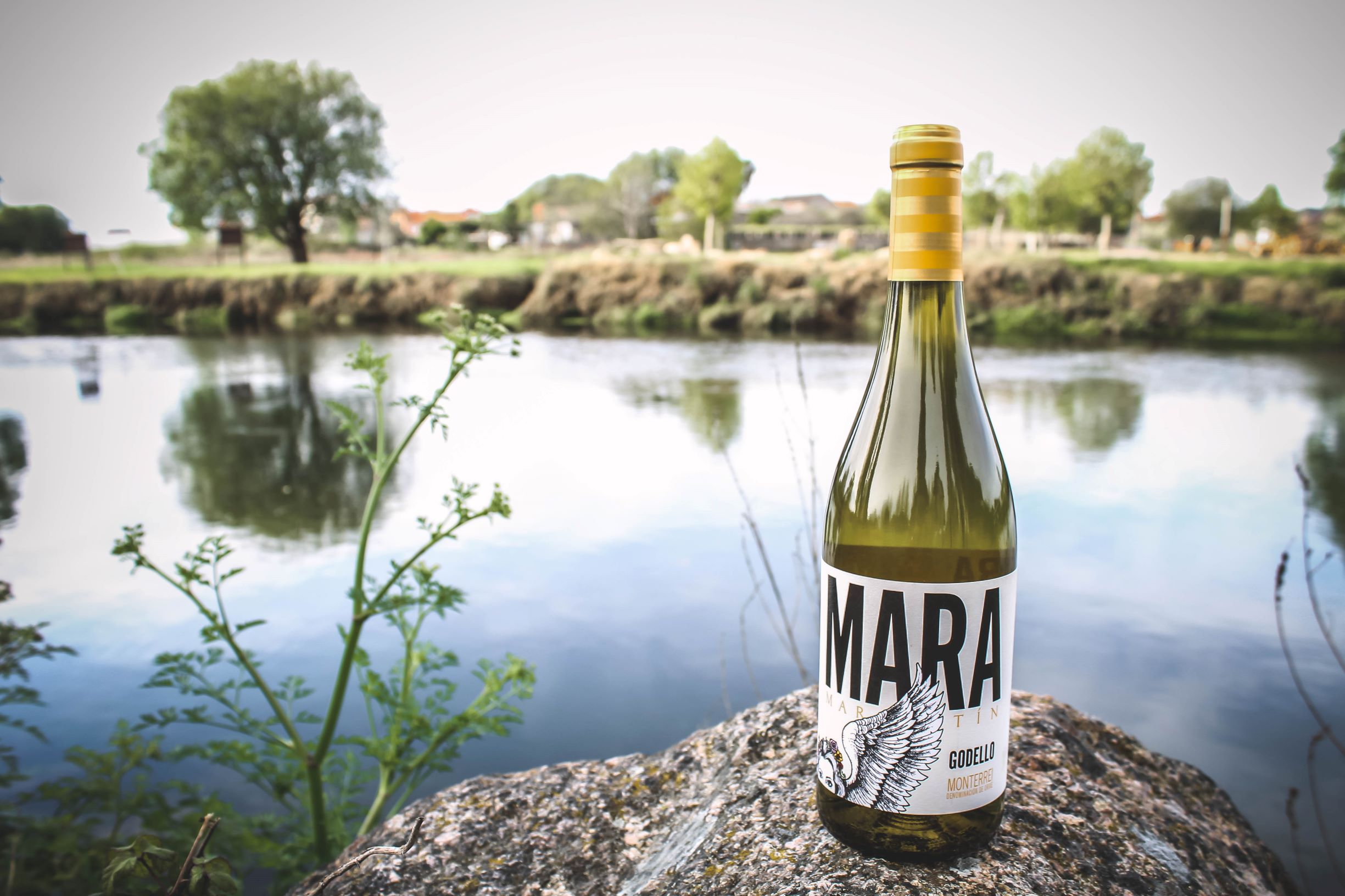 Los vinos de Soy50plus: Mara Martín, un Godello para empezar bien