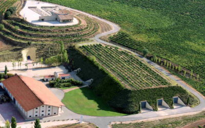 Bodegas Valduero te quiere hacer un Regalo