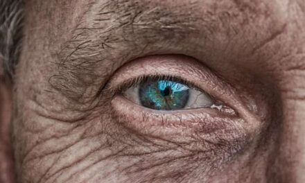 ¿Qué factores influyen en la longevidad humana?