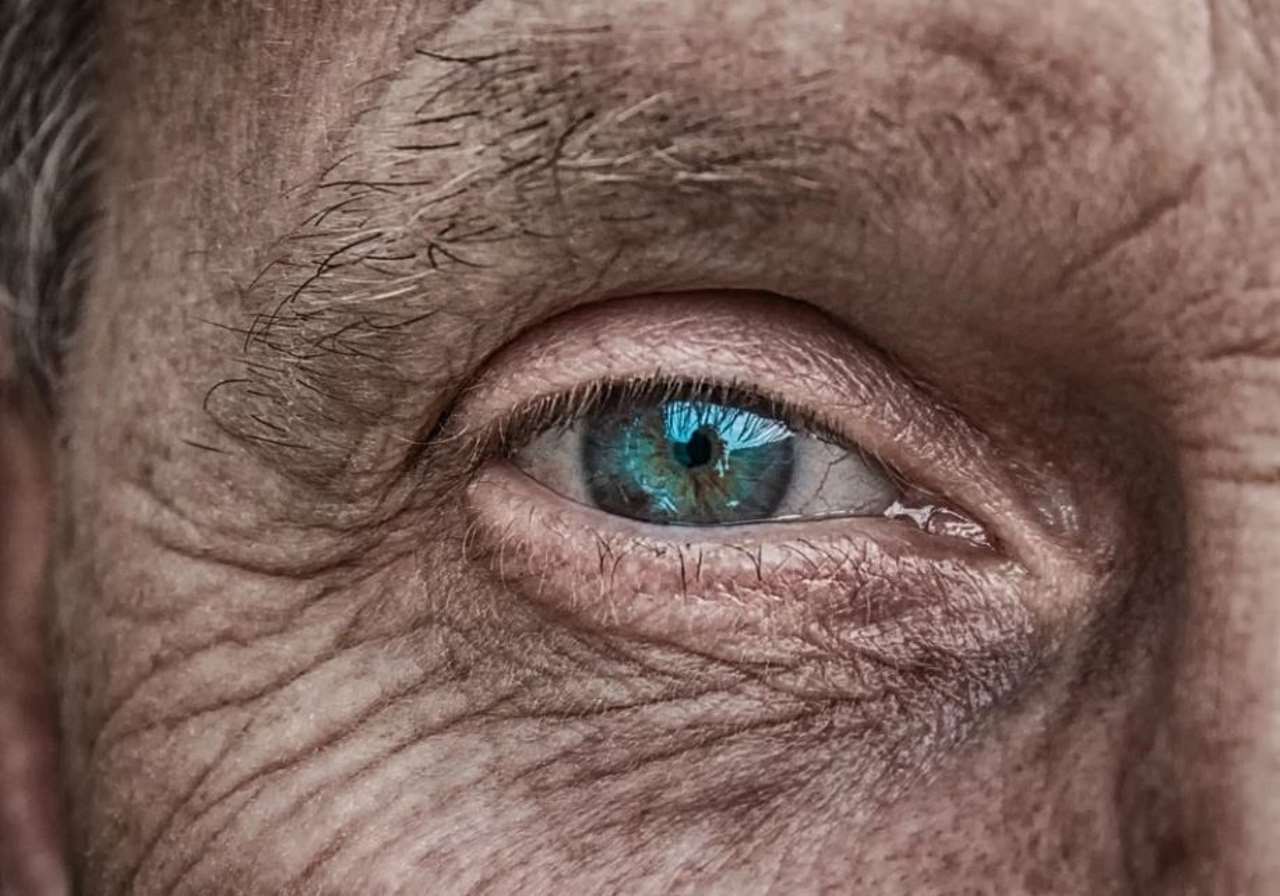¿Qué factores influyen en la longevidad humana? soy50plus