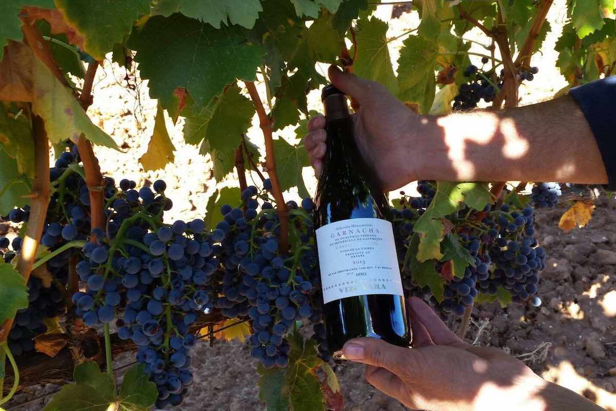 Bodegas Vizcarra vino de Castilla y Leon-soy50plus