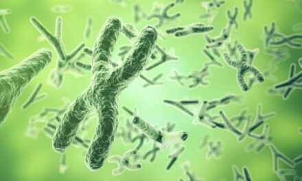 ¿Cómo alargar la vida de los telómeros para vivir más?