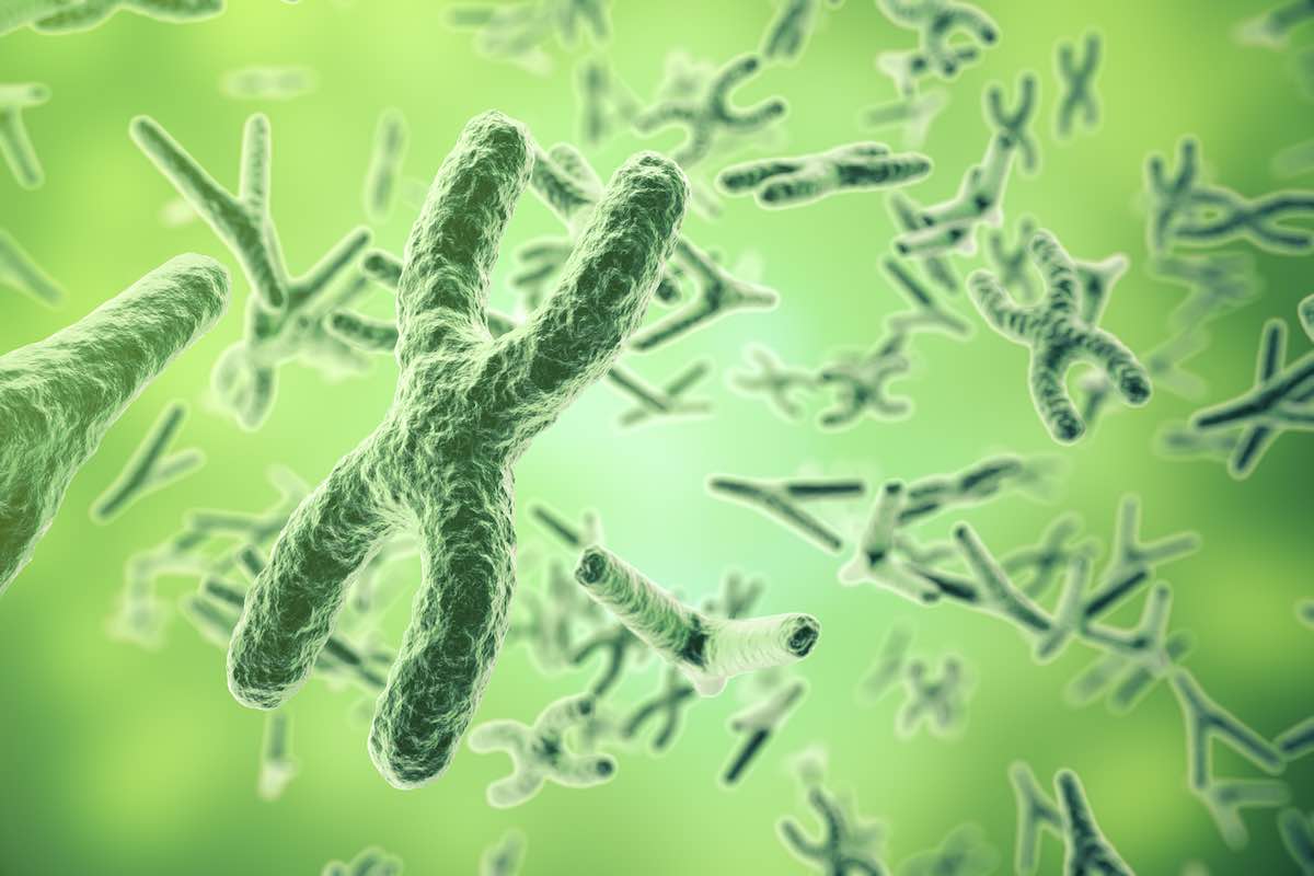 Cómo alargar la vida de los telómeros para vivir más. Contenido de salud en soy50plus