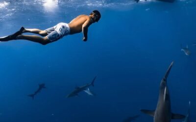 Deep tech: hora de “nadar entre tiburones”