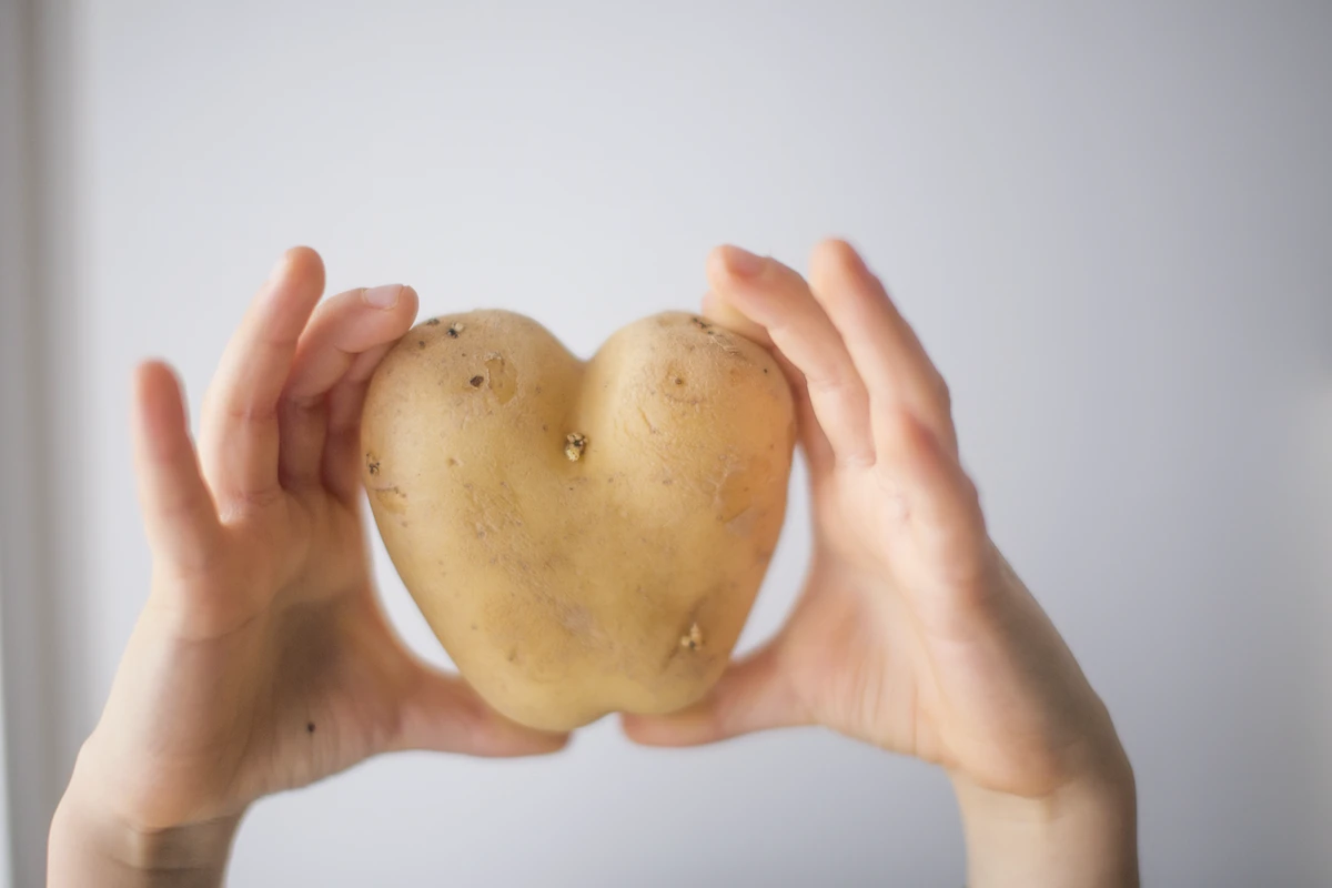 La patata y la microbiota intestinal-soy50plus La patata y la microbiota intestinal, un tesoro. un alimento prebiótico y se reducen sus calorías a la mitad. Salud en soy50plus
