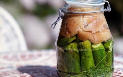 CHYE – Aprende a fermentar alimentos de forma rápida