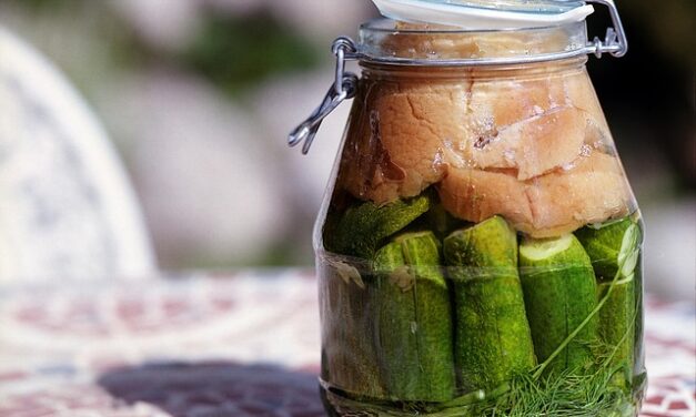 CHYE – Aprende a fermentar alimentos de forma rápida