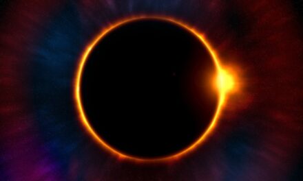 Sol y sombra